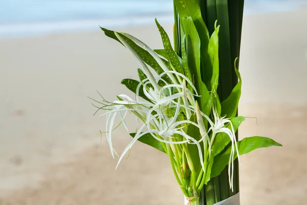 Floral arrangement  on the beach. — Stock Photo, Image