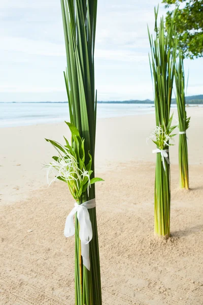 在海滩上插花. — 图库照片