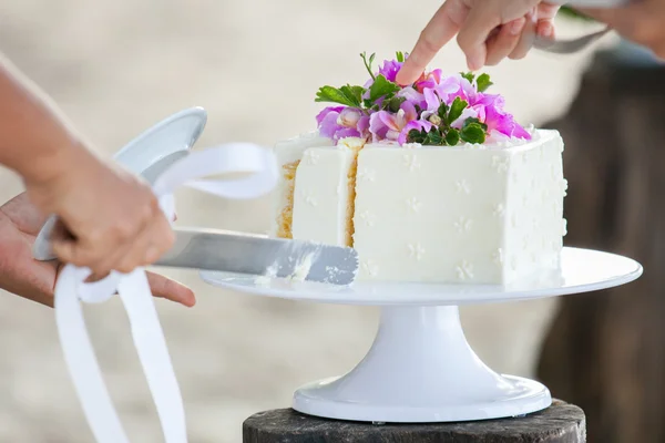 Cortar o bolo de casamento — Fotografia de Stock