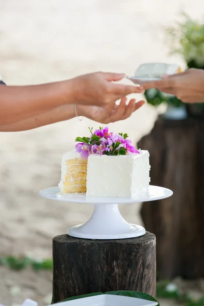 Tagliare la torta nuziale — Foto Stock