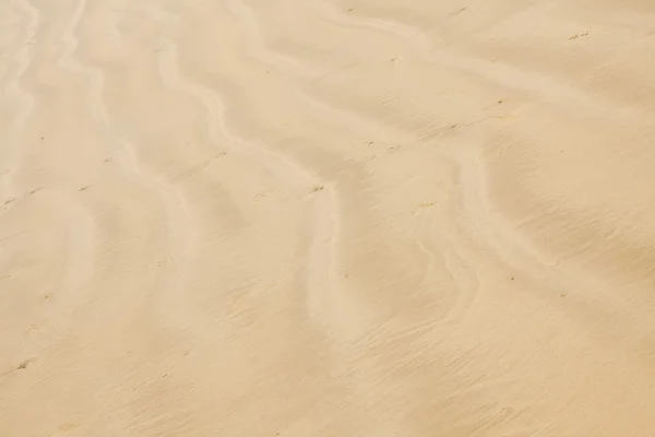 Plaj kum doku — Stok fotoğraf