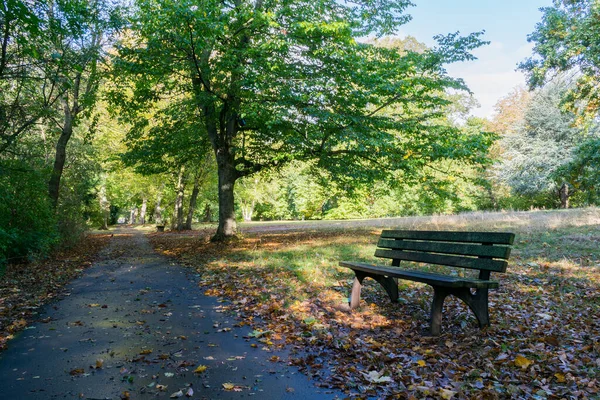 Parque Con Árboles Coloridos Paisaje Otoñal — Foto de Stock