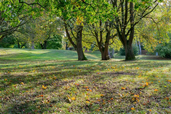 Park Kolorowymi Drzewami Jesienny Krajobraz Obraz Stockowy