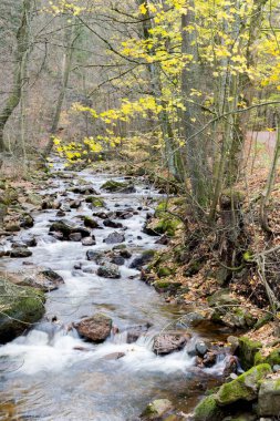 Harz 'da sonbahar nehir, Almanya ile anılır