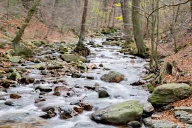 Harz 'da sonbahar nehir, Almanya ile anılır