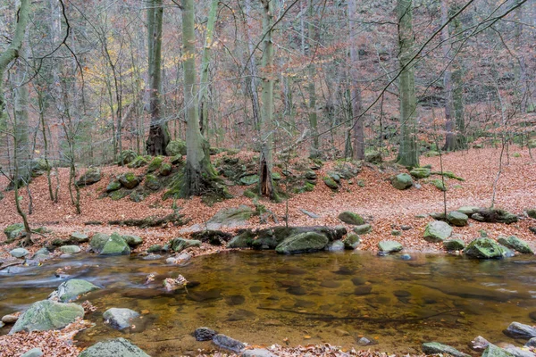 Efterår Harz Montains Med Flod Tyskland Stock-billede