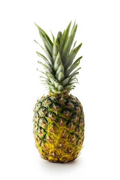 Čerstvý Ananas Izolované Bílém Pozadí — Stock fotografie