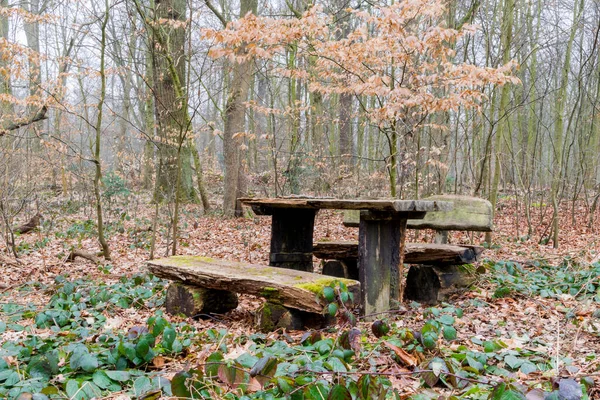 Autunno Nella Foresta Paesaggio Autunnale — Foto Stock