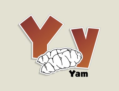 meyve ve sebze alfabesi - harf y