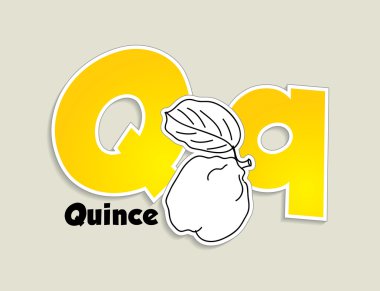 meyve ve sebze alfabesi - harf q