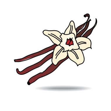 serbest çizim vanilya simgesi