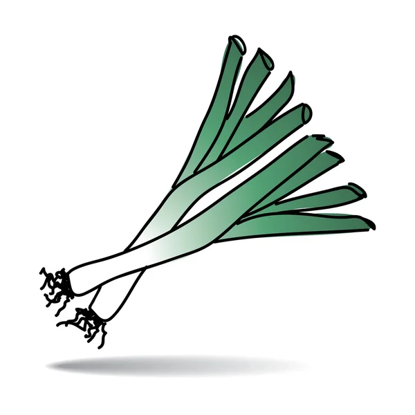 Ref-hand drawing leek icon — стоковый вектор