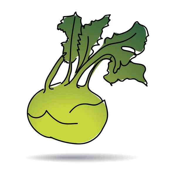 Freehand drawing kohlrabi icon — Stock Vector