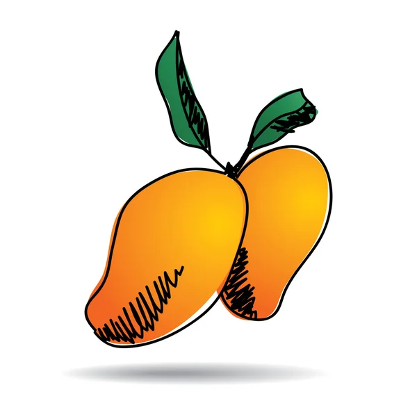 Uit de vrije hand tekenen mango pictogram — Stockvector