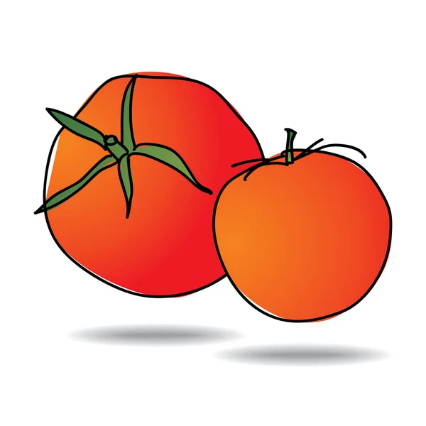 Freehand drawing tomato icon — Stock Vector