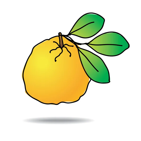 Freehand drawing ugli fruit icon — Stock Vector