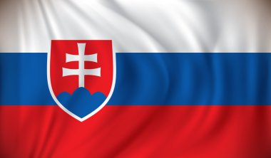 Slovakya bayrağı