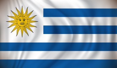 uruguay bayrağı