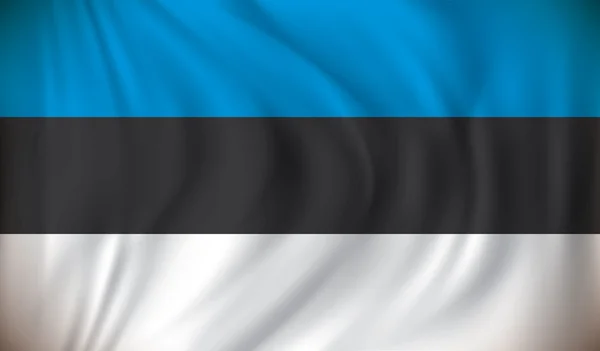 Bendera Estonia - Stok Vektor