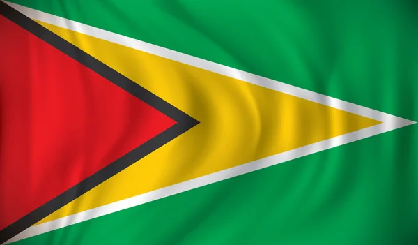 Bandera de Guyana — Vector de stock