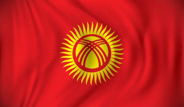 Kirgizisztán zászlaja — Stock Vector