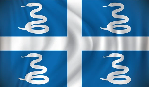 Flagge von Martinique — Stockvektor