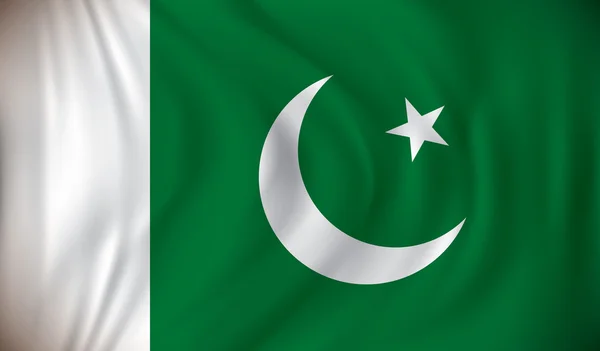 Pakistan bayrağı — Stok Vektör