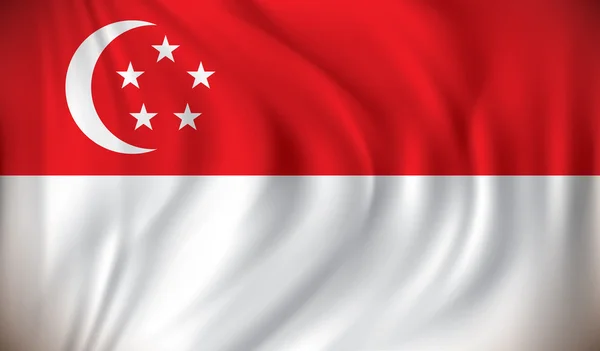 Vlag van Singapore — Stockvector