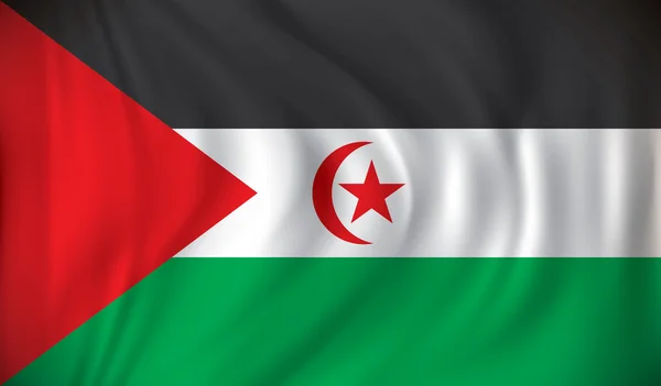 Vlag van de Westelijke Sahara — Stockvector