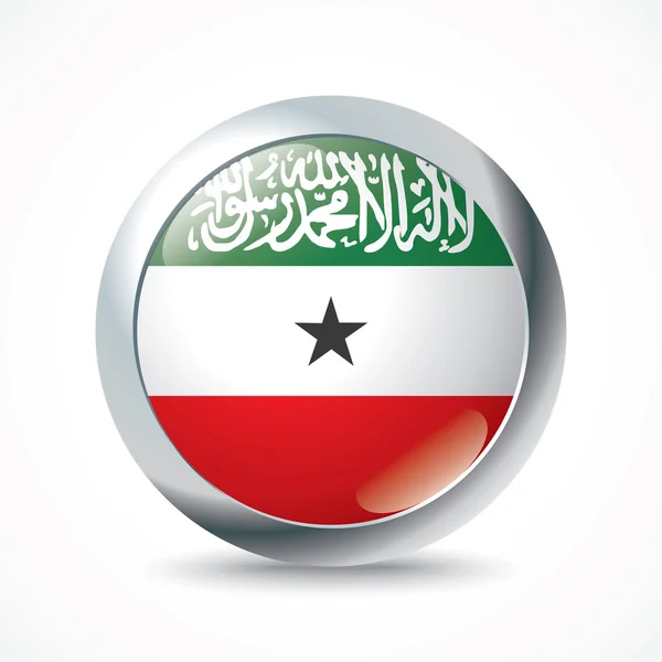 Somaliland flag button — Stock Vector