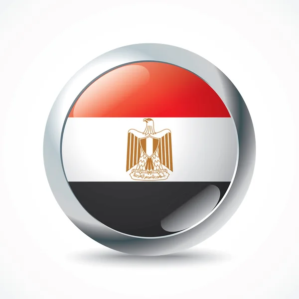 Egypt flag button — Stock Vector