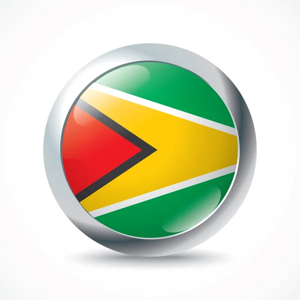 Botón bandera de Guyana — Vector de stock