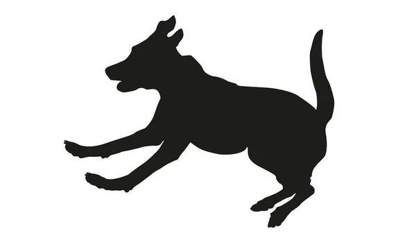 Köra Och Hoppa Labrador Retriever Svart Hundsiluett Isolerad Vit Bakgrund — Stock vektor