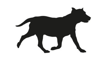 Koşan labrador av köpeği yavrusu. Siyah köpek silueti. Beyaz bir arka planda izole edilmiş. Vektör illüstrasyonu.