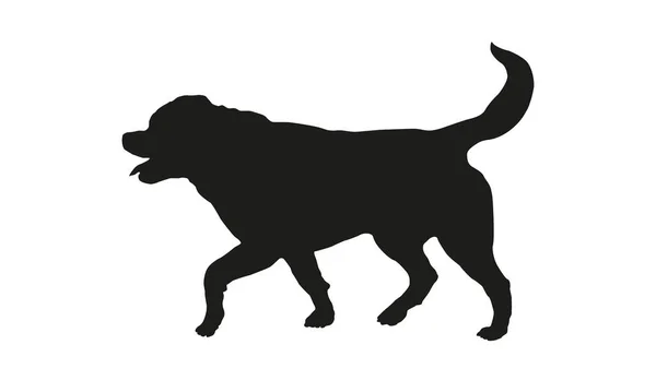 Силуэт чёрной собаки. Бегущий щенок ротвейлера. Изолированный на белом фоне. — стоковый вектор
