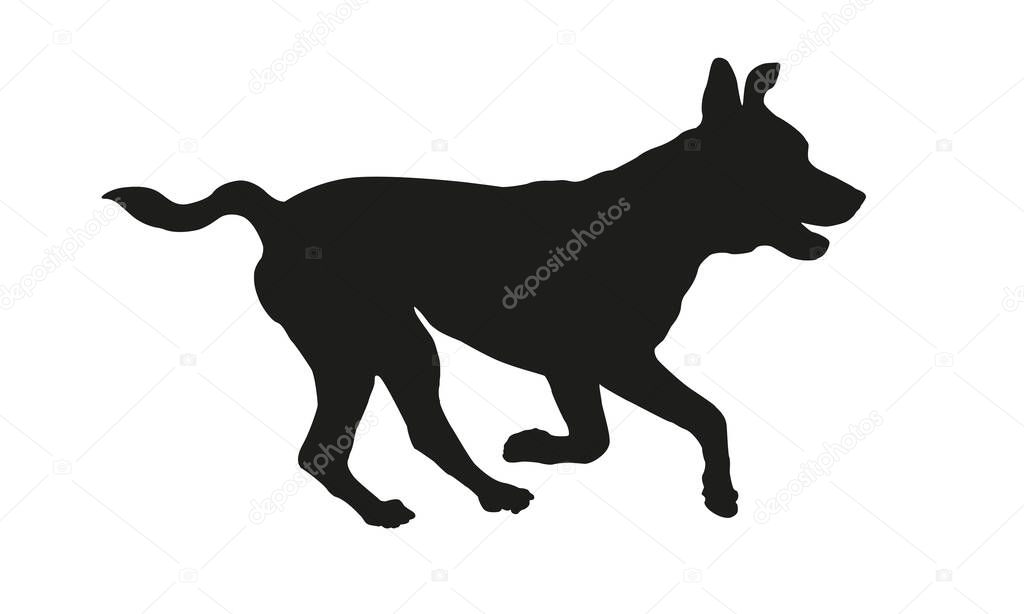 Black dog silhouette. Running american pit bull terrier puppy. Isolated on a white background. Vector illustration.
