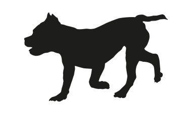 Siyah köpek silueti. Koşan Amerikan zorba köpeği. Evcil hayvanlar. Beyaz bir arka planda izole edilmiş. Vektör illüstrasyonu.