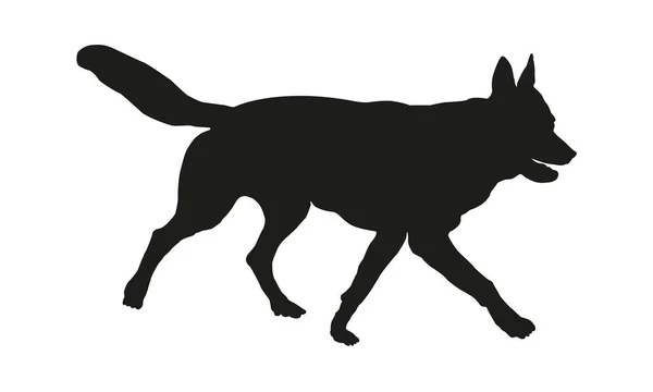 Laufender Tschechoslowakischer Wolfshund Welpe Schwarze Hundesilhouette Haustiere Vereinzelt Auf Weißem — Stockvektor