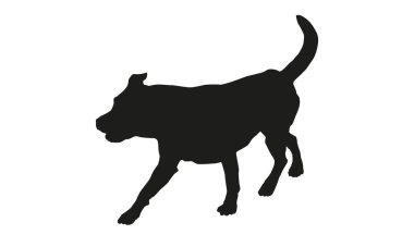 Siyah köpek silueti. Koşan labrador av köpeği yavrusu. Beyaz bir arka planda izole edilmiş. Vektör illüstrasyonu.