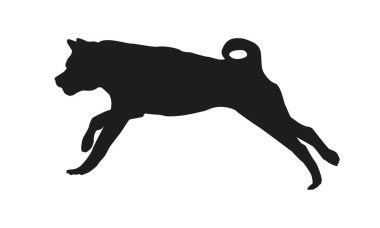Siyah köpek silueti. Koşma ve zıplama akita inu puppy. Beyaz bir arka planda izole edilmiş. Vektör illüstrasyonu.