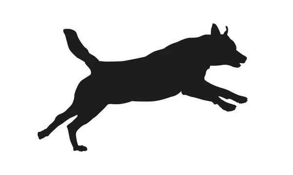 黒い犬のシルエット ロットウィラー子犬を走らせてる 白い背景に隔離されています ベクターイラスト — ストックベクタ
