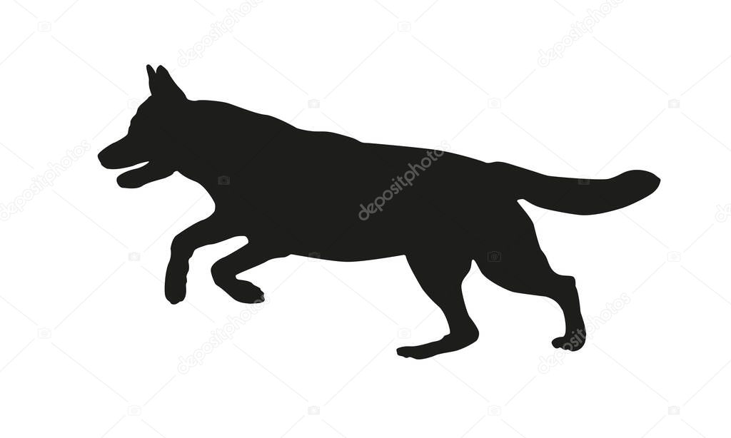 Black dog silhouette. Running german shepherd dog. Isolated on a white background. Vector illustration.