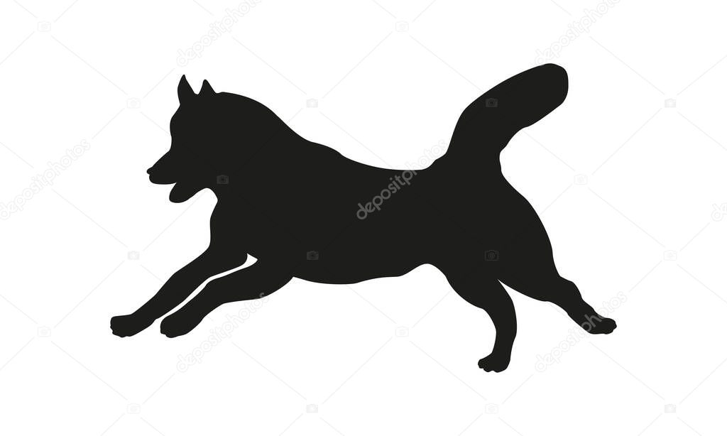 Black dog silhouette. Running siberian husky. Isolated on a white background. Vector illustration.