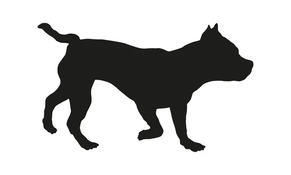 Black Dog Silhouette Running American Bully Puppy Pet Animals Isolated — Stock Vector