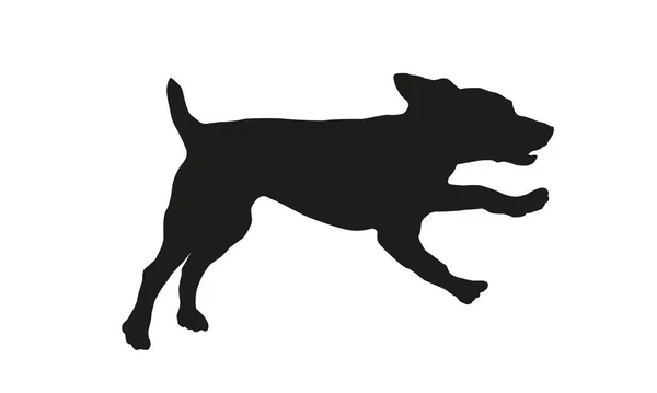 Running Jumping Russian Spaniel Puppy Black Dog Silhouette Pet Animals — Stock Vector