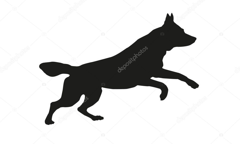 Black dog silhouette. Running czechoslovak wolfdog puppy. Isolated on a white background. Vector illustration.