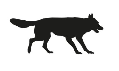 Koşan Czechoslovak kurt köpeğinin siyah silueti. Beyaz bir arka planda izole edilmiş. Vektör illüstrasyonu.