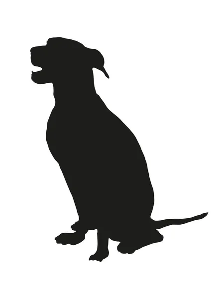 Black Dog Silhouette Sitting German Pinscher Puppy Pet Animals Isolated — Stock Vector