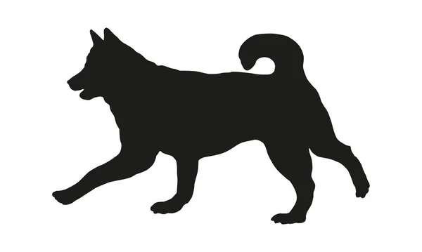 Μαύρη Σιλουέτα Σκύλου Σιβηριανή Χάσκι Ζώα Συντροφιάς Απομονωμένο Λευκό Φόντο — Διανυσματικό Αρχείο