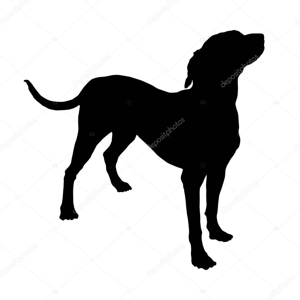Standing dalmatian dog puppy. Black dog silhouette. Pet animals. Isolated on a white background. Vector illustration.